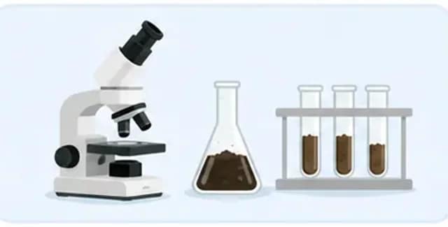 Pretreated soil samples divided into flasks and test tubes and measured with analytical instruments.