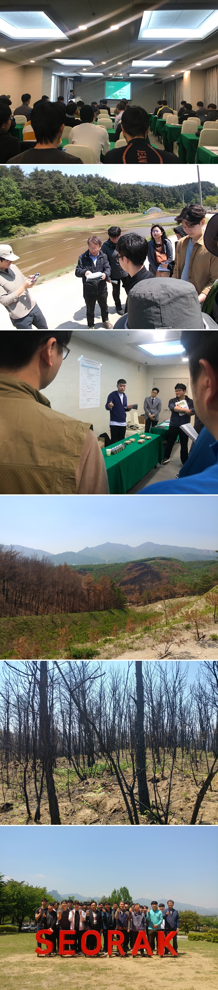 2019 산림공간정보구축 워크샵: 실내 발표장과 야외 현장답사, 산림 전경을 담은 연속 장면 (2019년 5월 8~10일)